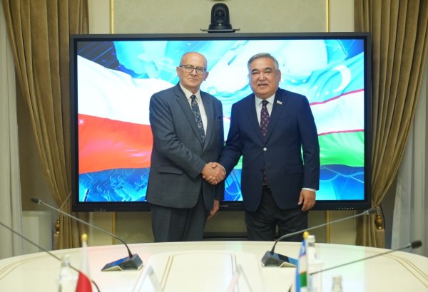 Uzbekistan, Poland seek stronger parliamentary and economic ties