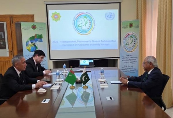 Turkmenistan, Pakistan's TRANSHOLD discuss logistics cooperation