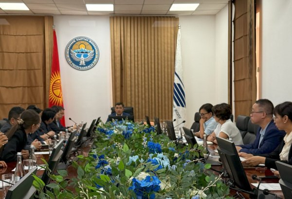 Kyrgyzstan to need 2,500 specialists for China railway - Kyrgyz Temir Zholu