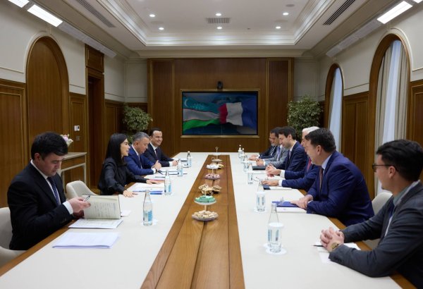 Uzbekistan seeks stronger investment ties with leading French companies