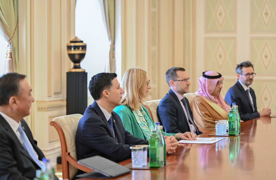 President Ilham Aliyev meets heads of several international organizations (PHOTOS)