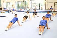 Olympic medalist Matteo Morandi holds master class for Azerbaijani gymnasts (PHOTO)