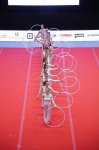 Italy's Pistoia hosted the 5th European Gym for Life Challenge Festival (PHOTO)