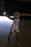 Italy's Pistoia hosted the 5th European Gym for Life Challenge Festival (PHOTO)