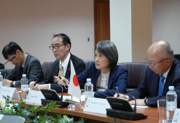 Kazakhstan, Japan discuss launching direct flights during high-level talks