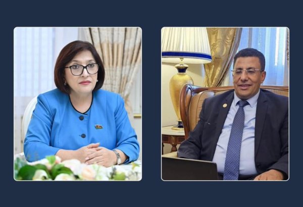 Speaker of Azerbaijan's Parliament holds talks with Pan-African Parliament president