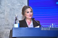 Shusha Global Media Forum showcases D-8 Media Center of Best Practices initiative (PHOTO)