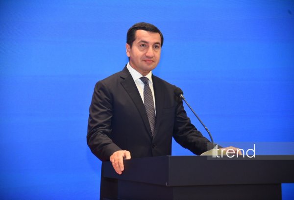 Hikmet Hajiyev calls for global approach to regulating social media and AI