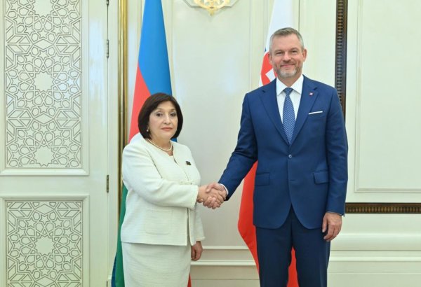 Azerbaijan’s Parliament Speaker meets with President of Slovakia (PHOTO)