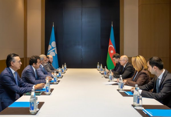 Azerbaijan's energy minister meets OPEC secretary general in Baku (PHOTO)