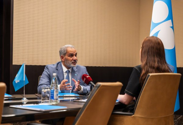 OPEC chief warns against discouraging oil and gas investment