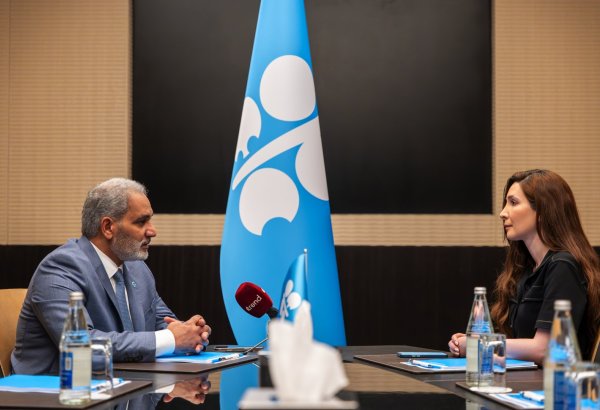 OPEC warns against using energy transition to push for abandoning oil and gas