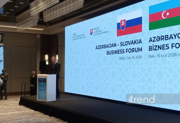Slovak companies show growing interest in Azerbaijani market