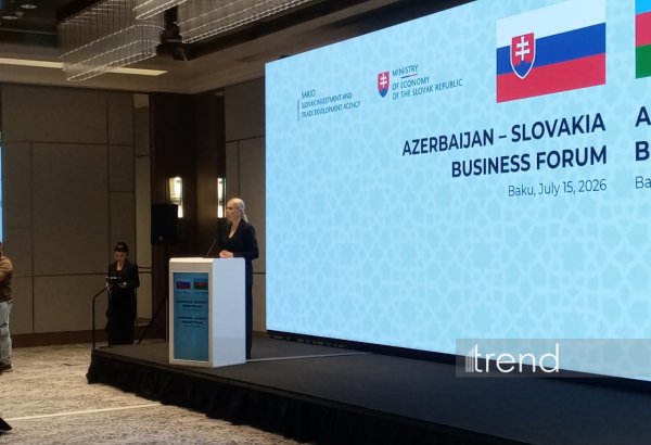 Azerbaijan plays growing role in connecting Europe with South Caucasus and Central Asia — Sakova