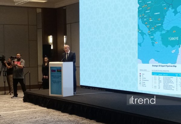 Azerbaijan offers investors access to regional market, not just its own, minister says