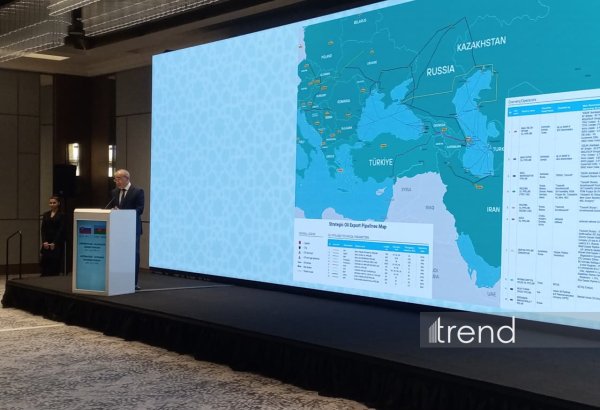 Azerbaijan offers investors favorable conditions in Alat FEZ - minister
