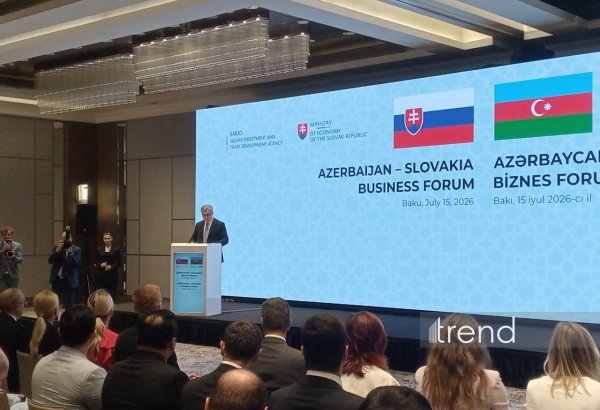 Azerbaijan expands investment co-op with international partners - AZPROMO