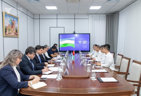 Uzbekistan, China discuss progress of China-Kyrgyzstan-Uzbekistan railway