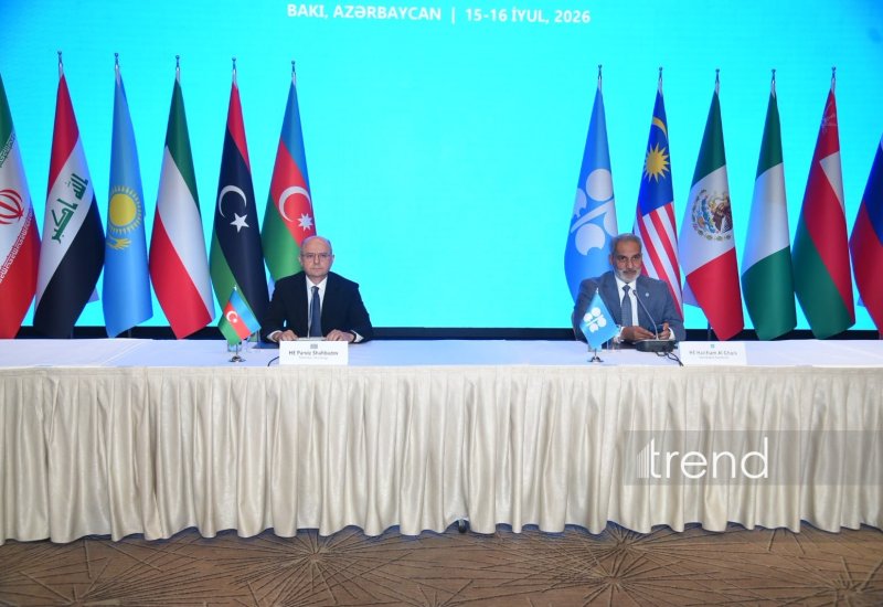 First OPEC+ Charter of Cooperation meeting underway in Baku (PHOTO)
