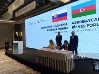 Azerbaijan-Slovakia business forum concludes in Baku (PHOTO)