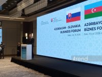 Azerbaijan-Slovakia business forum concludes in Baku (PHOTO)
