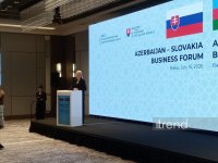 Azerbaijan-Slovakia business forum concludes in Baku (PHOTO)