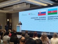 Azerbaijan-Slovakia business forum concludes in Baku (PHOTO)