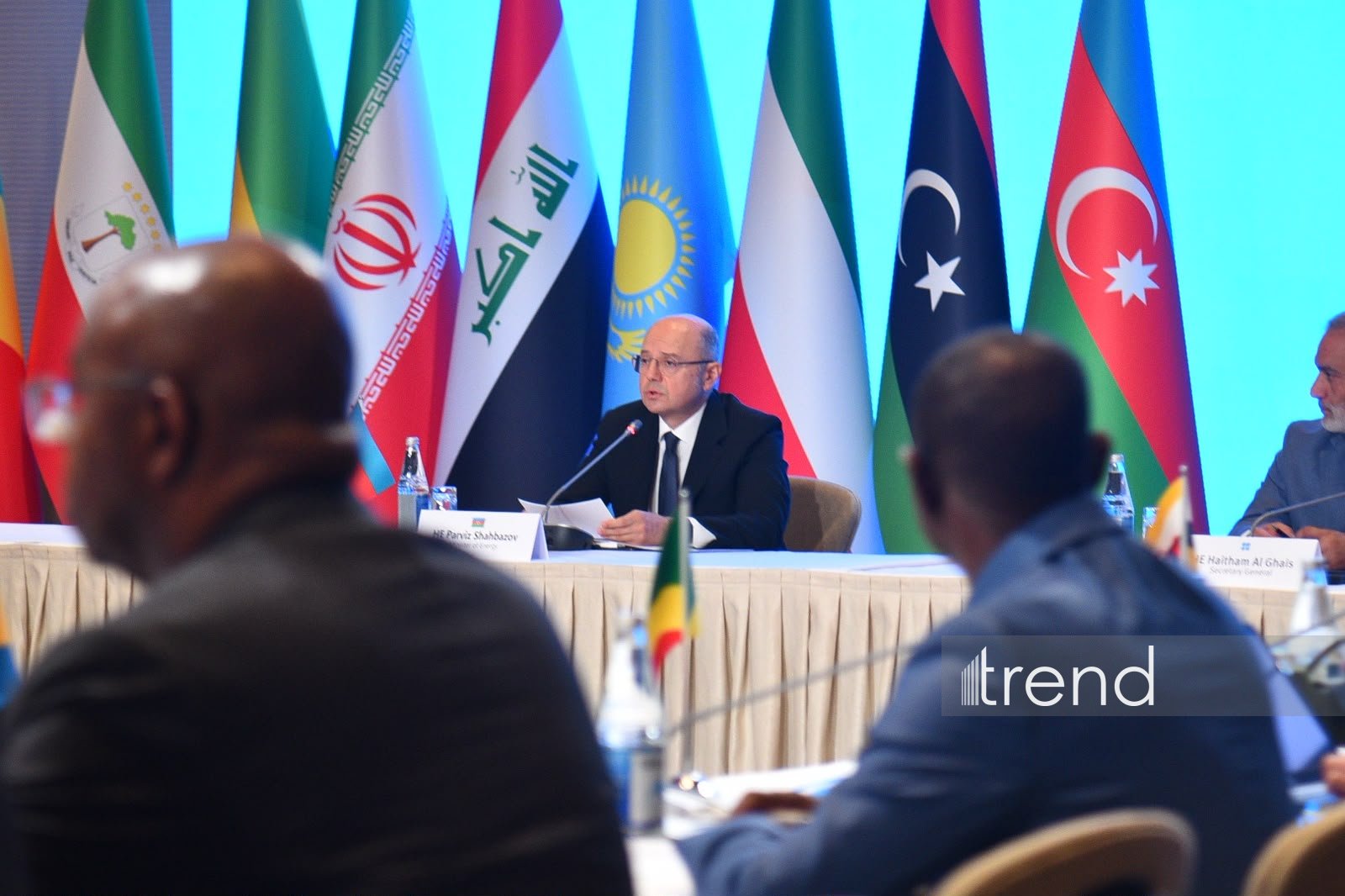 First OPEC+ Charter of Cooperation meeting underway in Baku (PHOTO)