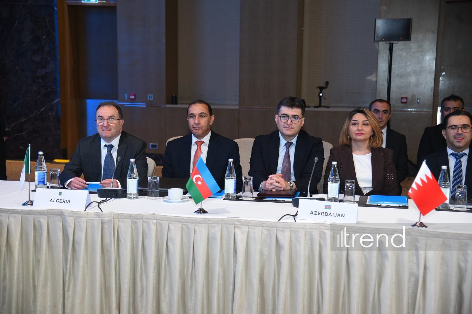 First OPEC+ Charter of Cooperation meeting underway in Baku (PHOTO)