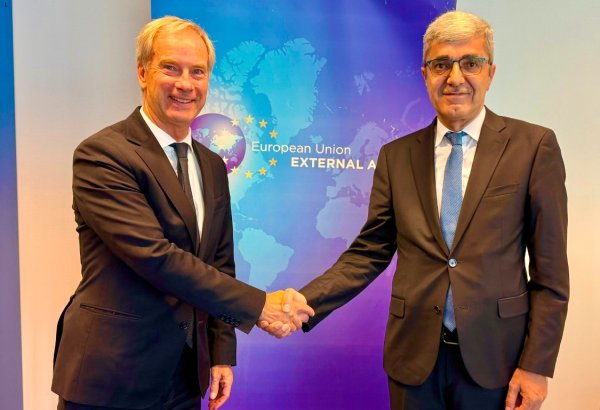Tajikistan, EU discuss implementation of Central Asia summit deals