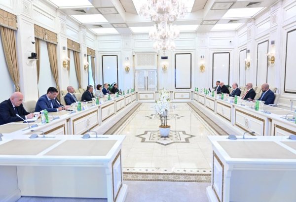 Speaker of Azerbaijani Parliament meets Prime Minister of Palestine (PHOTO)