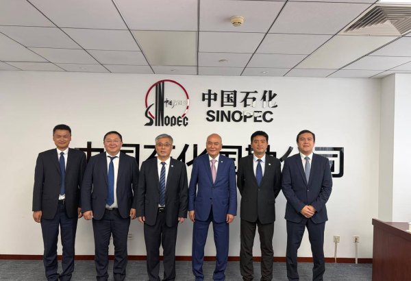KazMunayGas, Sinopec advance Berezovsky geological exploration project