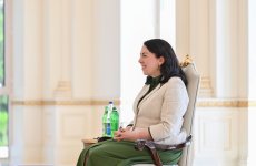 President Ilham Aliyev receives credentials of Ireland’s newly appointed ambassador (PHOTO)