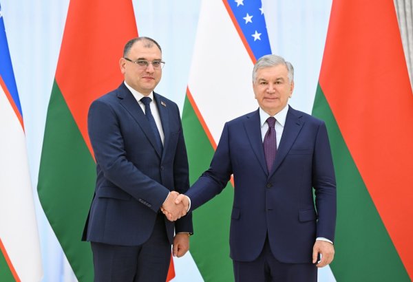 Uzbekistan, Belarus deepen cooperation on nuclear energy project