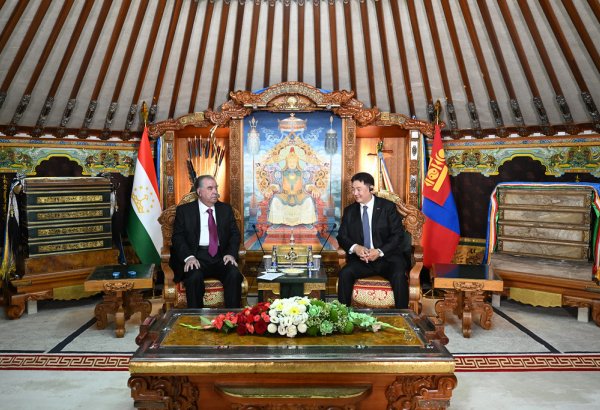 Tajikistan and Mongolia strengthen cooperation across key sectors