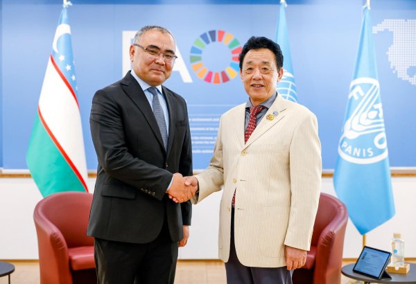 Uzbekistan, FAO discuss expanding agricultural innovation partnership