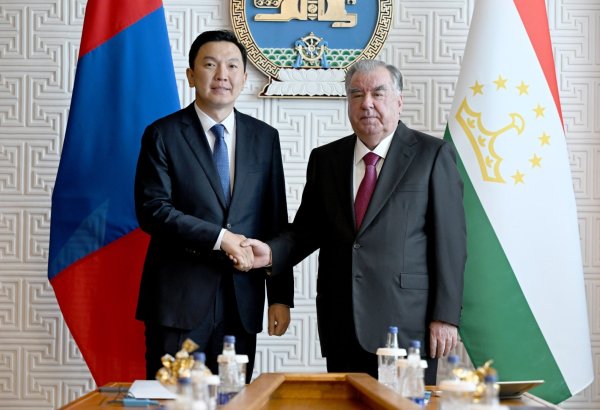 Tajikistan's President Rahmon, Mongolian PM look to strengthen bilateral economic ties