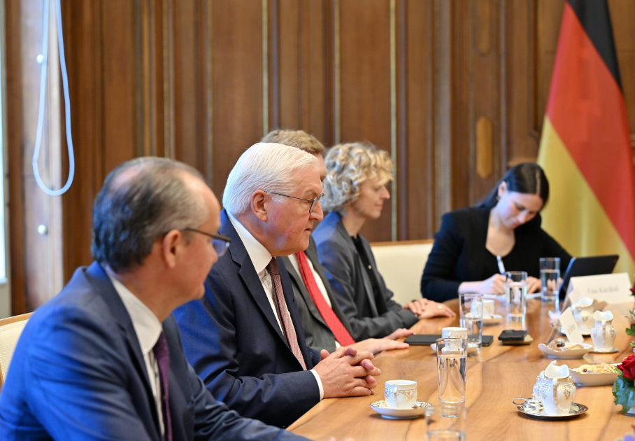 President Ilham Aliyev and German President Frank-Walter Steinmeier hold expanded meeting (PHOTO)