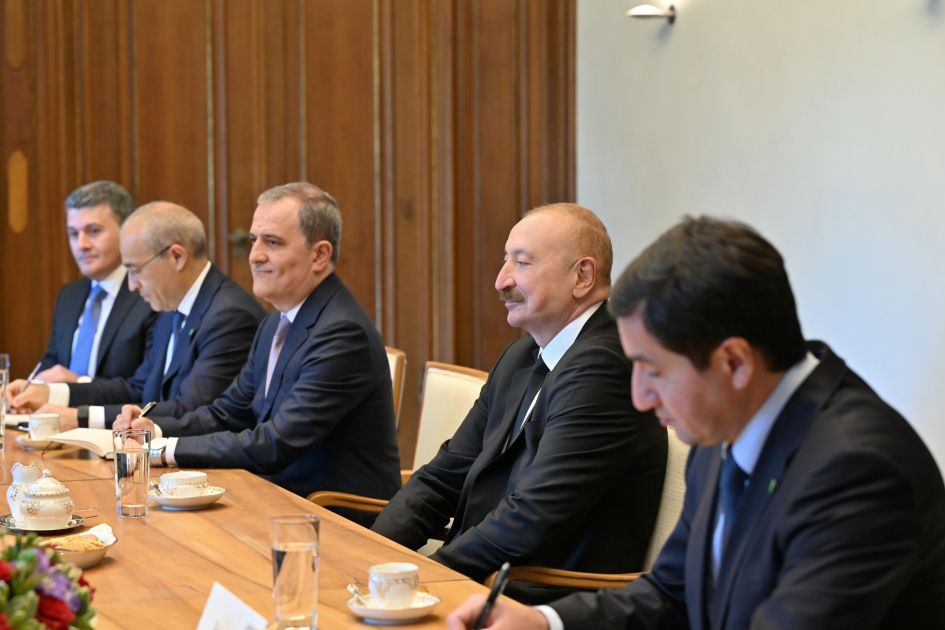 President Ilham Aliyev and German President Frank-Walter Steinmeier hold expanded meeting (PHOTO)