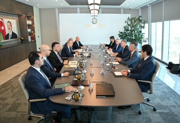 Azerbaijan, Czech Agrofert Group discuss new co-op opportunities (PHOTO)