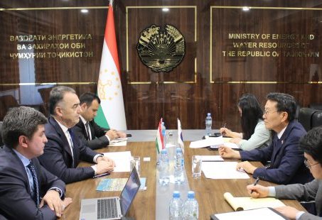 Tajikistan, South Korea discuss prospects for bilateral co-op in energy