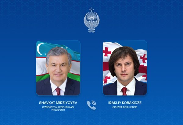 President Mirziyoyev, PM Kobakhidze review implementation of Georgia visit agreements
