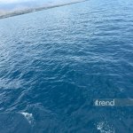Issyk-Kul: Kyrgyzstan's sacred lake inspiring return visits (PHOTO/VIDEO)