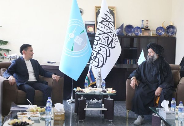 Uzbekistan, Afghanistan move to ease road freight costs