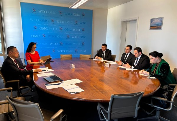 Turkmenistan, WTO discuss next steps in accession process