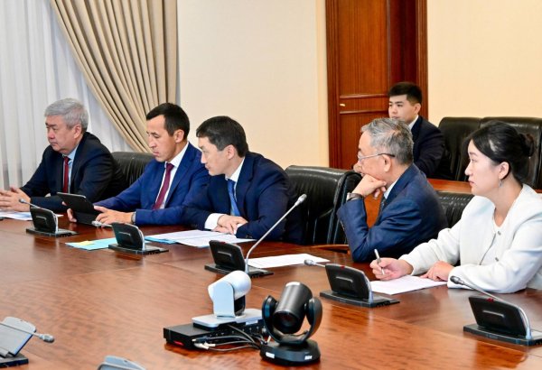 China plan $2.5B aluminum, renewable energy projects in Kazakhstan's Abai