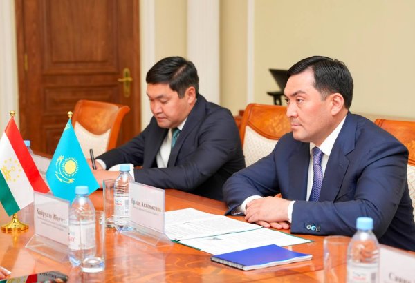 Kazakhstan, Tajikistan reaffirm commitment to strengthen energy partnership