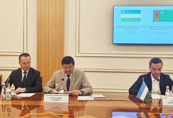 Industrial co-op with Turkmenistan offers strong potential - Uzbek envoy