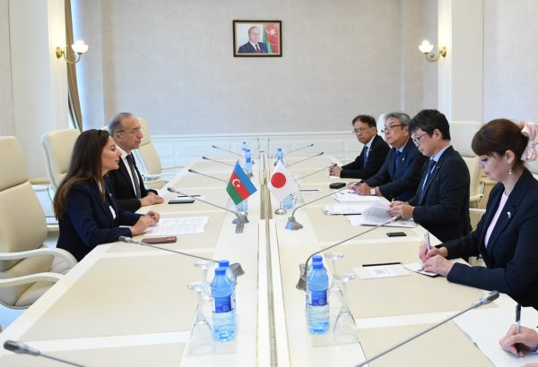 Azerbaijan and Japan discuss inter-parliamentary relations (PHOTO)