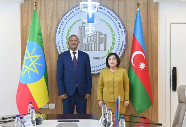 Azerbaijan's parliament speaker meets Speaker of Ethiopia’s House of Federation (PHOTO)